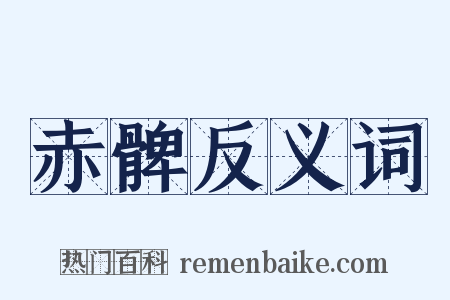 赤髀反义词是什么意思的图片